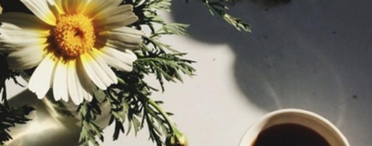 Авария на ул. "Ропотамо" оставя без вода жителите в квартал "Червената пръст"