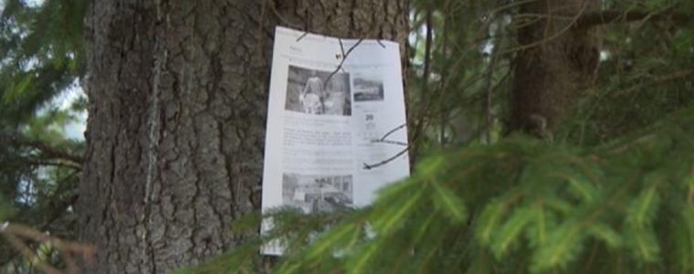 Жени, отишли за гъби, видели Кристиян край Триград? 