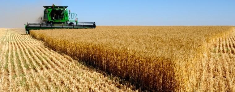 Пет  добруджански общини приключиха жътвата на ечемика