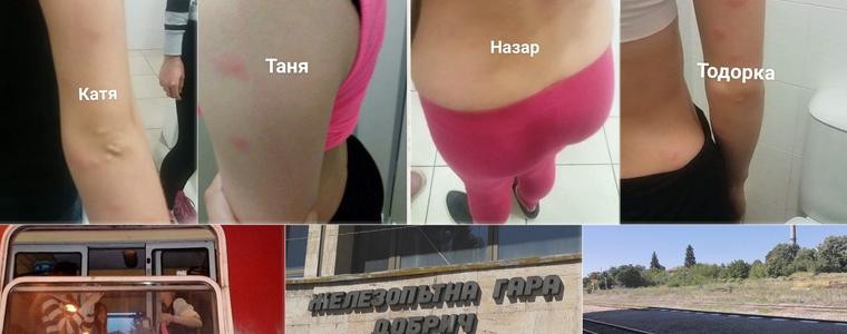 Добрички деца нахапани от дървеници във влака за София/ВИДЕО/