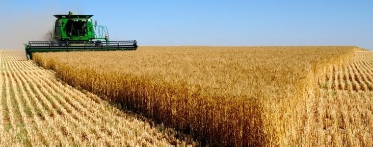 Добруджанци държат рекорд по добив на пшеница 598 кг от дка