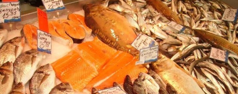 Проверките на НАП обхванаха и търговците на риба  в  Добрич