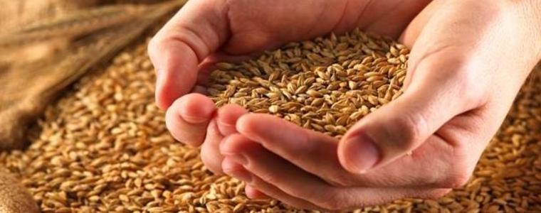 Рекордна реколта от пшеница – почти 6 млн. тона