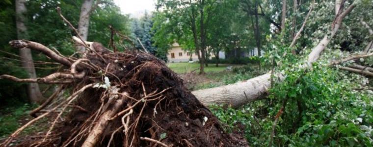 Бурята "Себастиан" взе жертви в Германия  