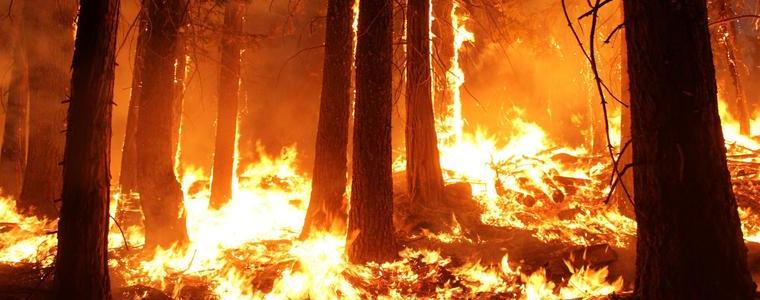Горски пожар наложи евакуация на селo в Ямболско