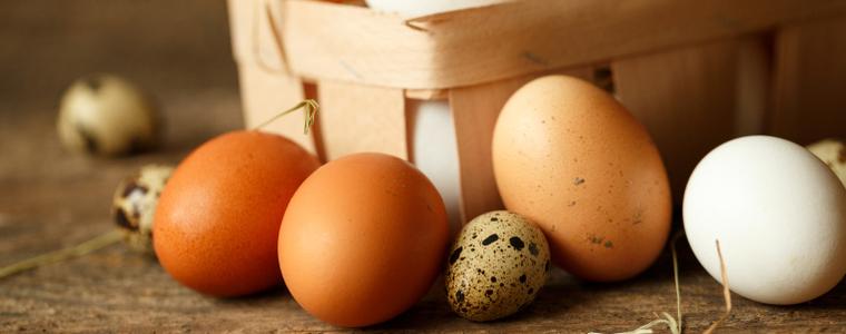 Възможни са нови сигнали за продукти с фипронил