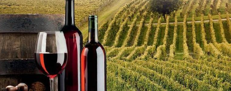 Изнасяме 30% от виното ни - в цистерни и под чужда марка