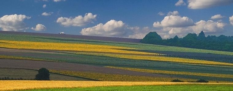 Още се сее в Добруджа