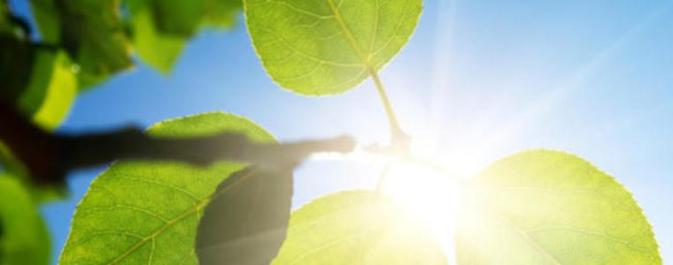 Топло и приятно време в неделя