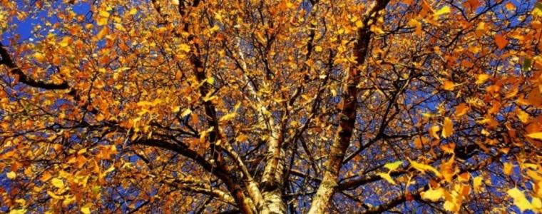 ПРОГНОЗА: Облачно време утре, възможно е да превали