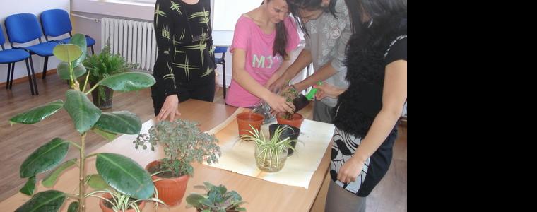  „Наблюдавано жилище“ – новата социална услуга на община Добрич