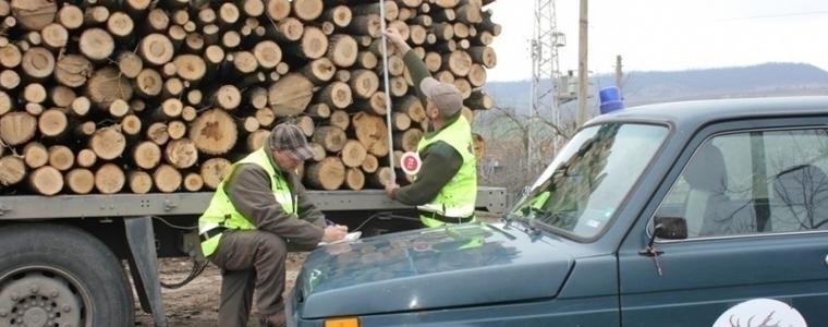 4 акта съставиха горските стражари в Добричко
