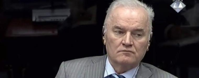 Синът на Ратко Младич може да е кандидат за президент на Република Сръбска  