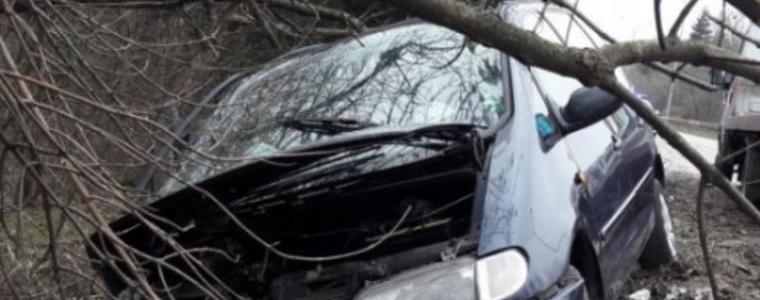 3500 души загиват всеки ден в катастрофи по света