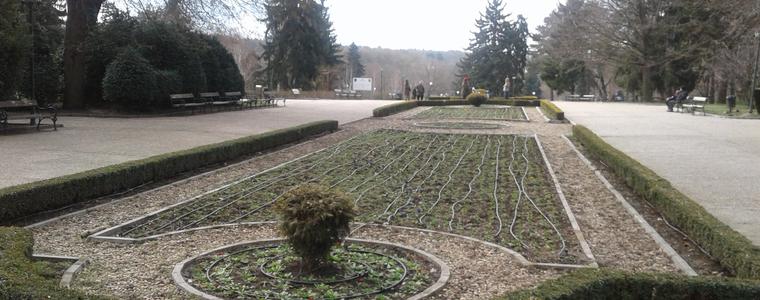 Община град Добрич извършва пролетни грижи за зелените площи