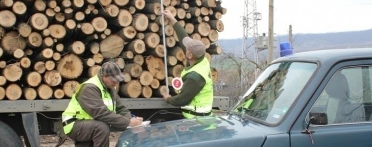 22 акта съставиха горските стражари в Добричка област