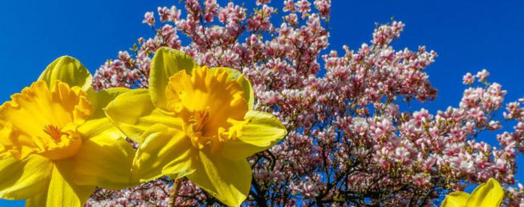 Прогноза за понеделник, 16 април