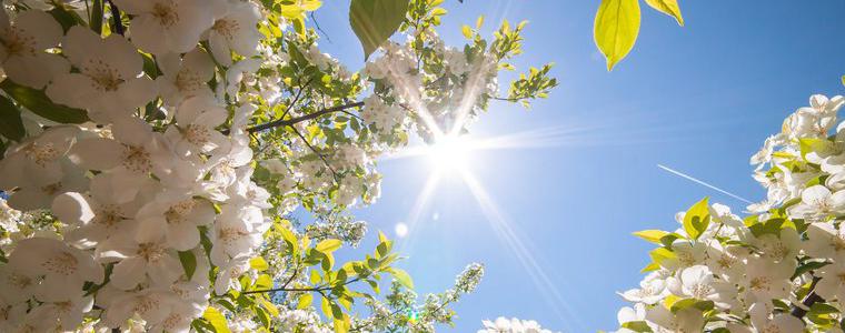 Прогноза за времето в неделя, 29 април