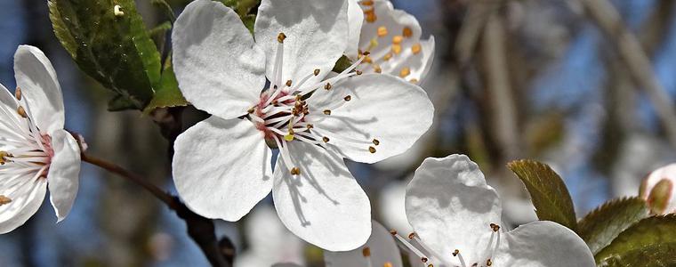 Прогноза за времето в петък, 13 април