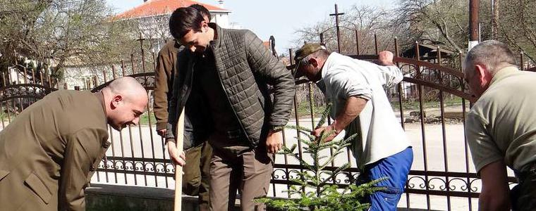 Залесителна кампания в ДЛС „Тервел” по повод Седмицата на гората 