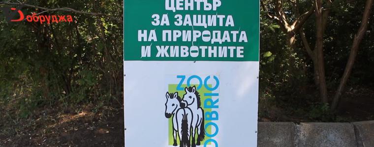 Деца с увреждания ще празнуват на 1 юни в Центъра за защита на природата и животните  