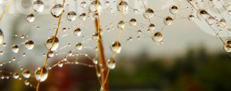 Прогноза за 20 май