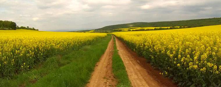 Прогноза за времето в неделя, 13 май