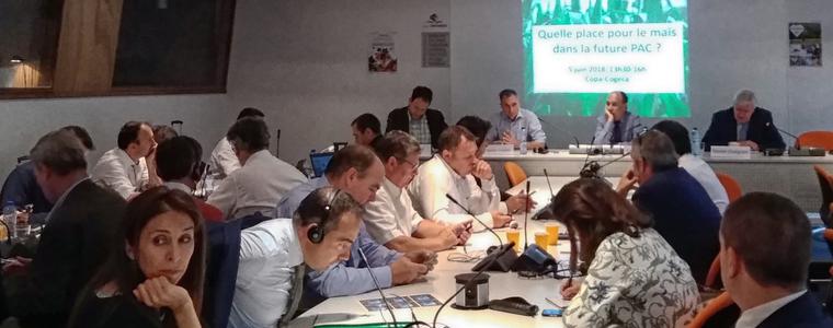 НАЗ:Европейската царевица трябва да бъде защитена!    