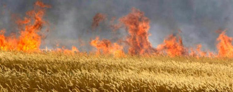 От пожарната служба припомнят  правилата, които трябва да се спазват  по време на прибиране на земеделските култури