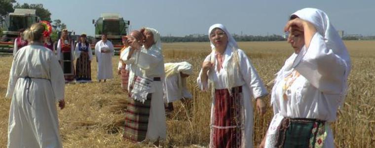 Зърното още не влязло  в хамбарите, готвят увеличение на хляба