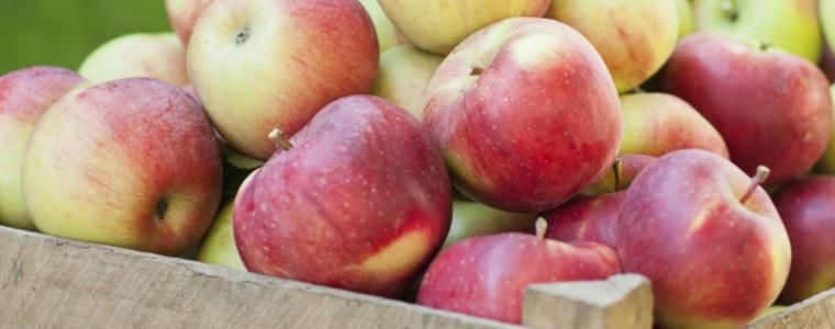 99% от търговците лъжели, че плодовете и зеленчуците са български