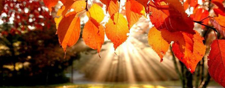 Есента дойде