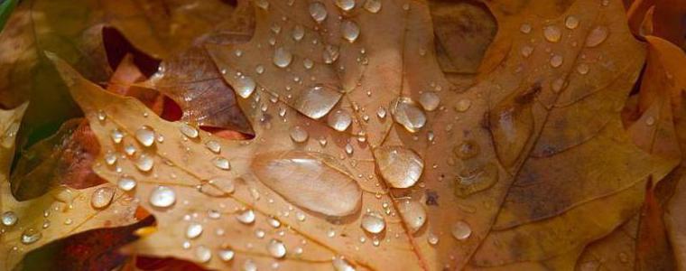 Прогноза за неделя