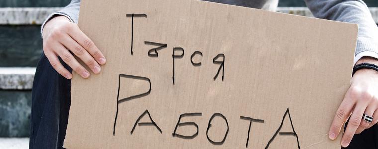 6508 безработни лица са започнали работа за 9-те месеца на годината