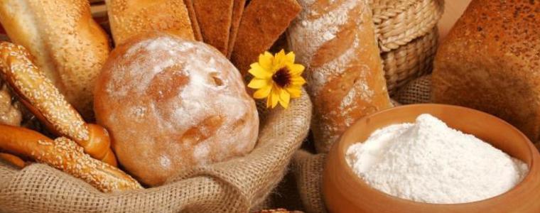 Община Добрич се включва в Националната седмица на достъпа до Добрата храна