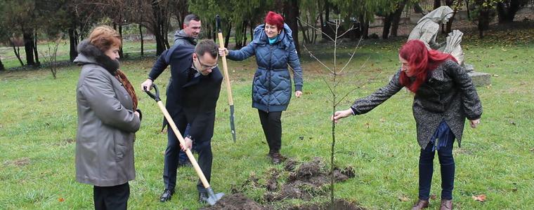 Алея на будителите в Градския парк планират от Община Добрич (ВИДЕО)