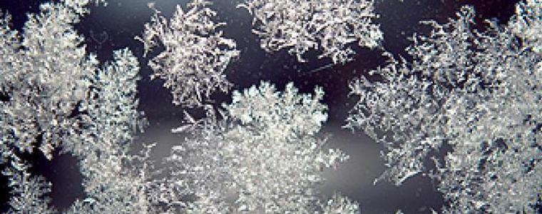 Прогноза за петък
