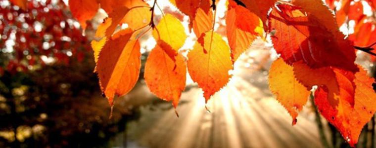 Времето на 23 ноември