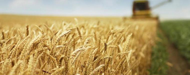 Земеделците ще се осигуряват със 160 лв. по-малко от минималната работа заплата