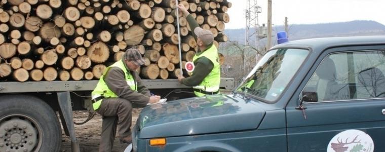 Горските стражари в Добричко задържаха автомобил с незаконна дървесина