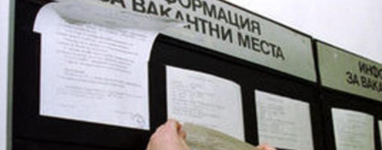 Близо 7% безработица в област Добрич през януари