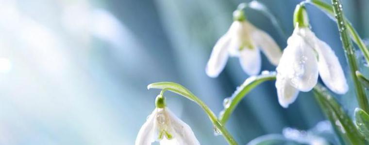 Прогноза за времето в петък