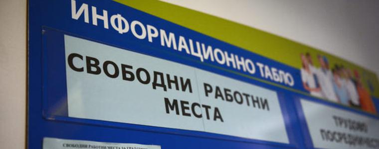 Директор на дирекция и директор на музей търсят чрез Бюрото по труда в Добрич