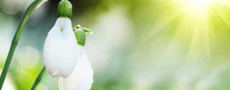 Времето в петък