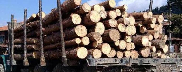 Хванаха мъж от с. Зърнево с 34 кубика незаконна дървесина