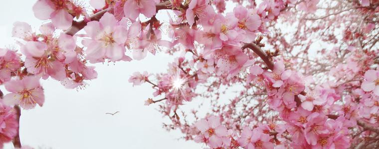 Прогноза за времето в сряда