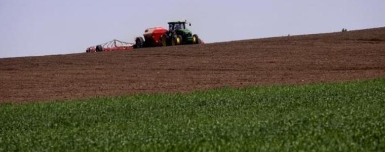  В Добруджа няма разорана пшеница