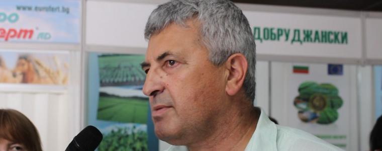 Директорът на ДЗИ: Сортовете ни пшеница се представиха отлично в експерименталните полета (ВИДЕО)
