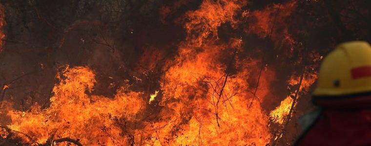 Бразилия не иска помощта на Г-7 за гасене на пожара в Амазонка 