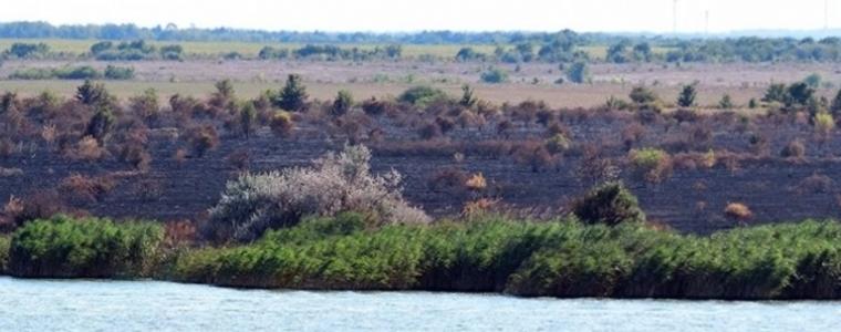 Пожар гори около езерото в Дуранкулак